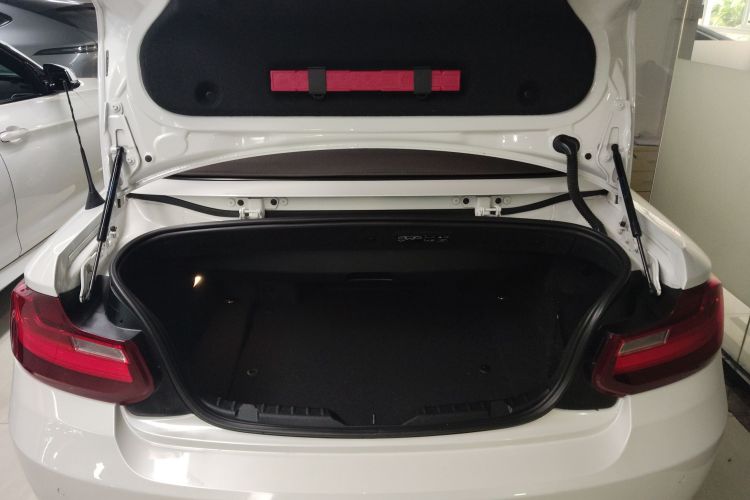 BMW 2 Series (Imported) 2016 car image #19