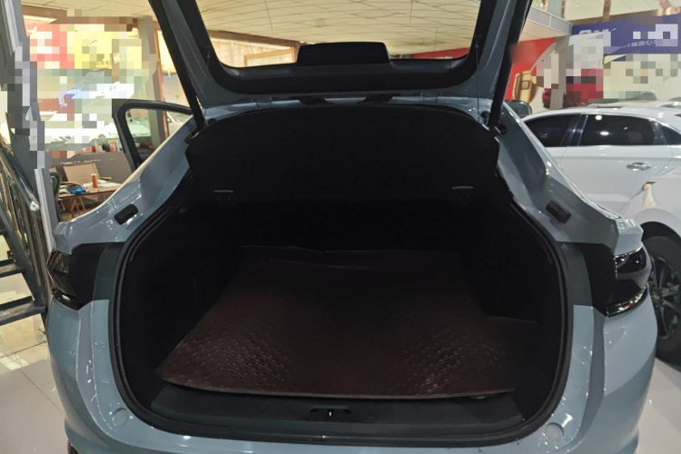 GEELY Tugella S 2022 immagine di auto #19