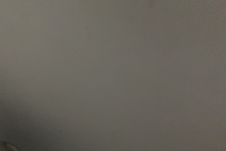 BYD e9 2021 car image #19