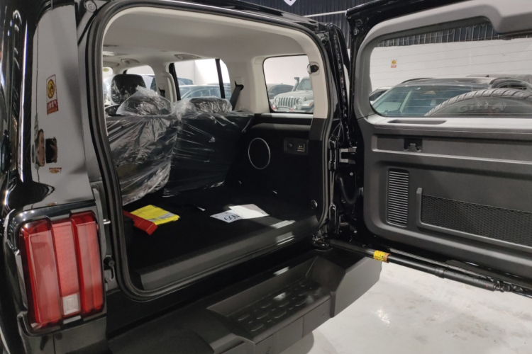 Tank 300 New Energy 2025 #19 Tank 300 New Energy 2025 car image #19