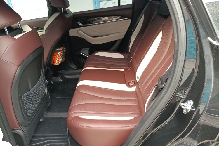 GEELY Tugella 2022 car image #19