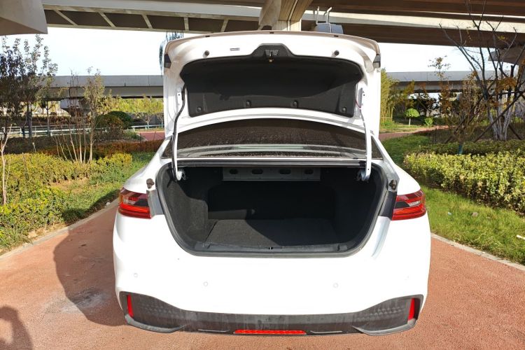 Livan Maple 60S 2023 imagen de coche #19