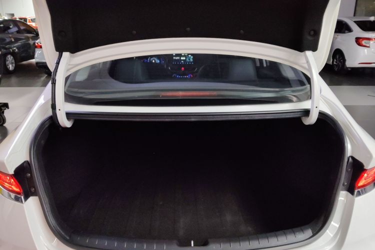 Hyundai Lafesta 2020 car image #19