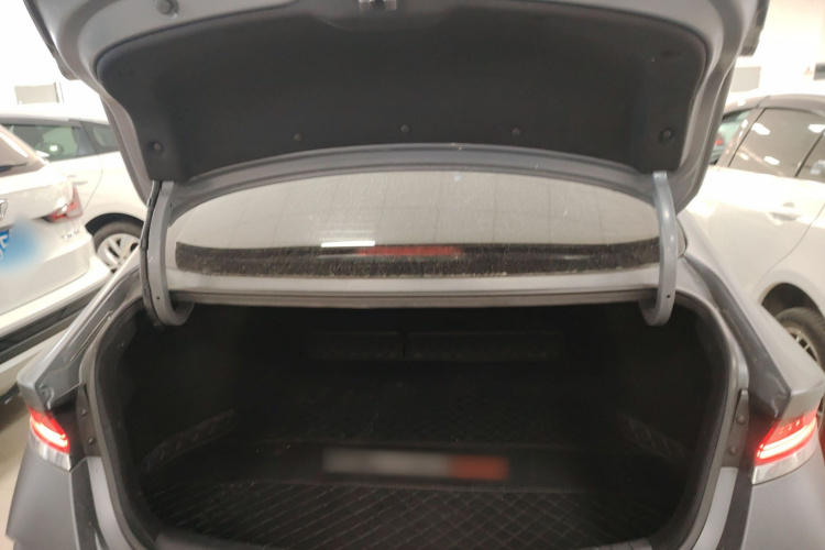 Hyundai Lafesta EV 2020 car image #19