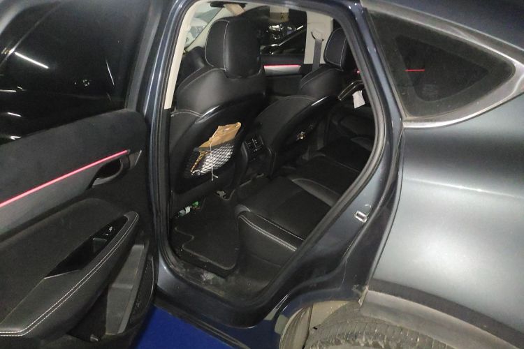 GEELY Tugella New Energy 2020 car image #19