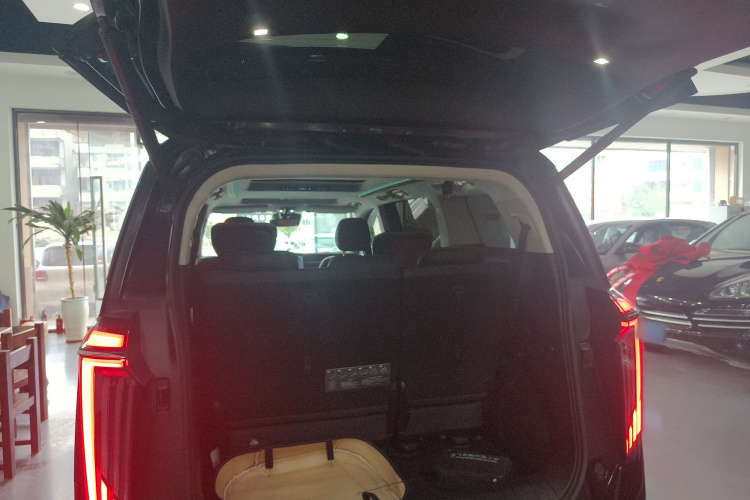 GAC Trumpchi E9 2024 imagem de carro #19