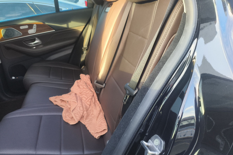 Mercedes-Benz GLE Class New Energy 2021 image de voiture #19