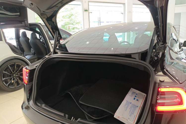 特斯拉 Model 3(进口) 2019 汽车图片 #19