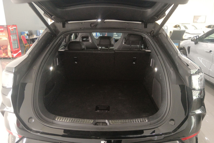 BYD Sea Lion 07 EV 2025 car image #19