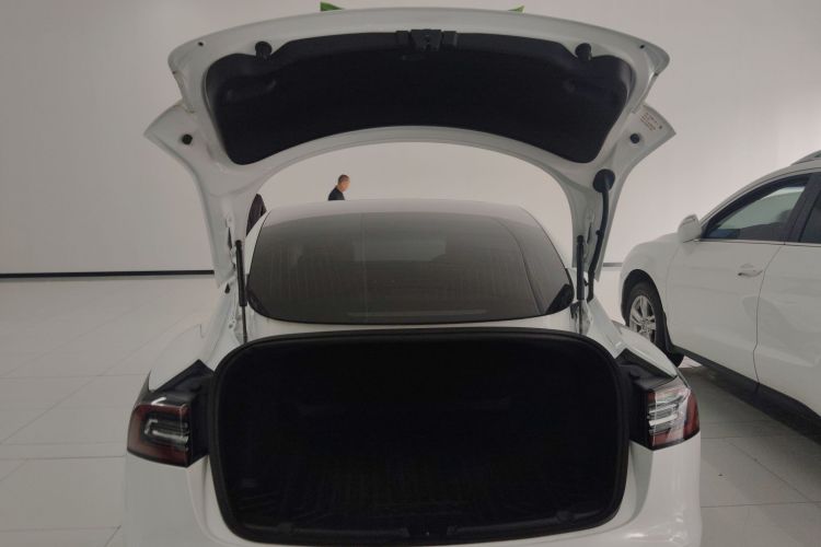 特斯拉 Model 3(进口) 2019 汽车图片 #19