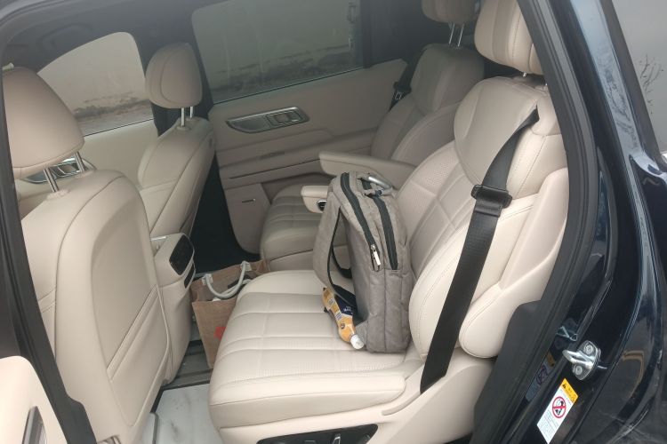 Deepal S09 2025 car image #19