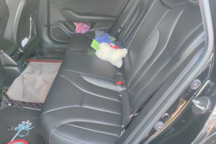 HongQi H5 2019 car image #19