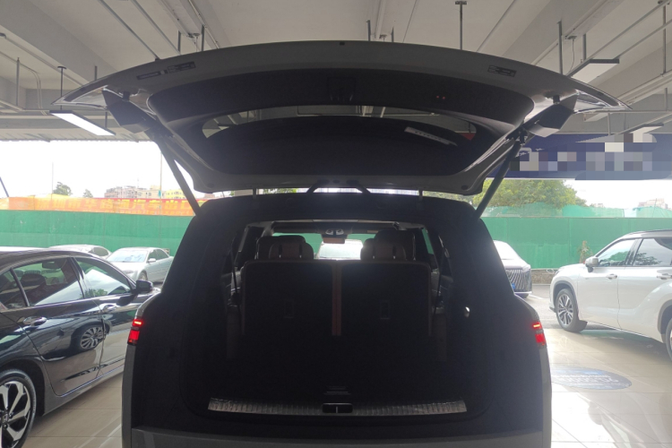 Denza N9 2025 car image #19