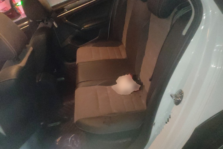 Volkswagen C-Trek 2017 immagine di auto #19