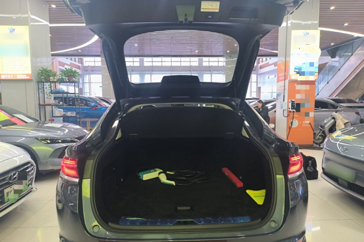 GEELY Tugella New Energy 2019 car image #19