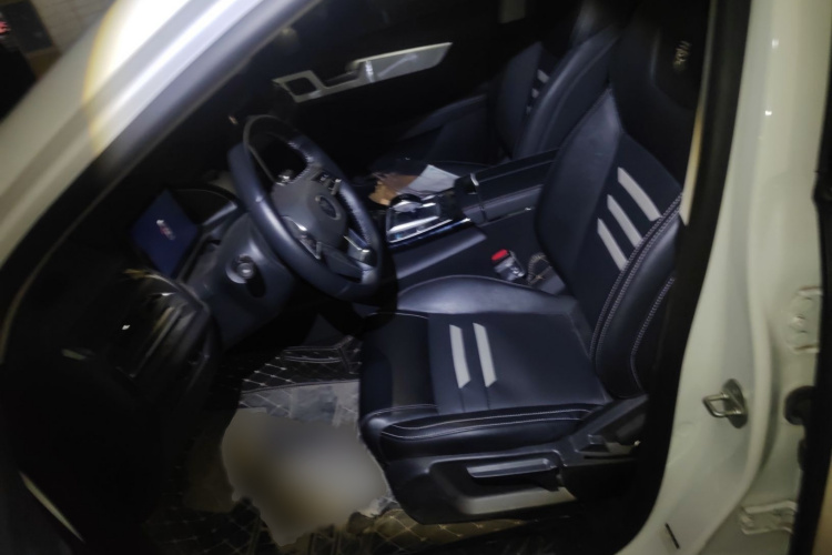 BYD Qin Pro 2020 car image #19