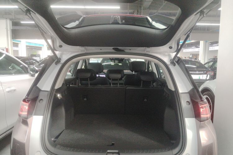 BYD Sea Lion 05 EV 2025 car image #19