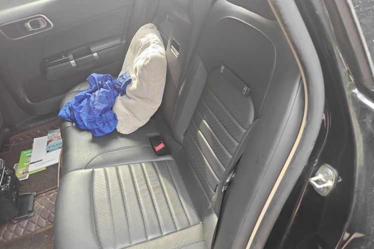 Citroen C6 2017 car image #19