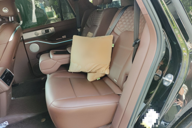 Tank 700 New Energy 2024 image de voiture #19