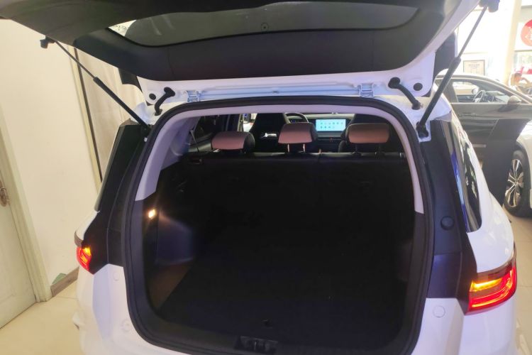 GEELY OkavangoPRO 2024 car image #19