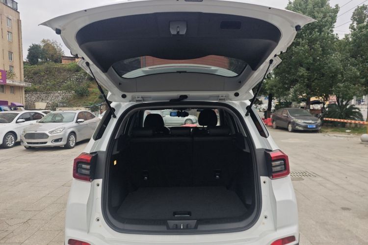 Tiggo 5x 2021 car image #19