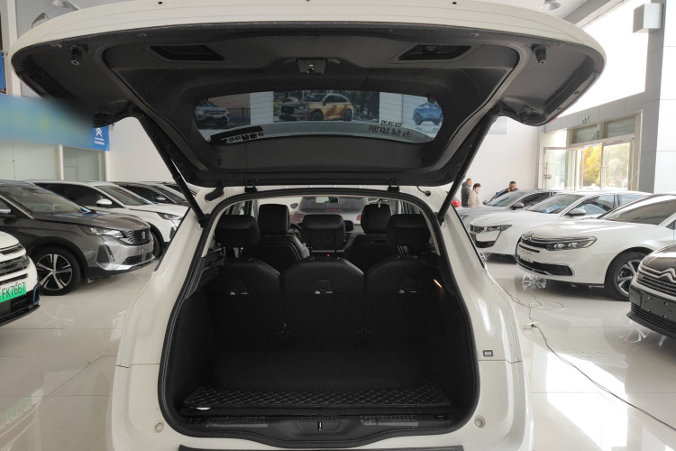 Citroen C4 PICASSO 2017 car image #19