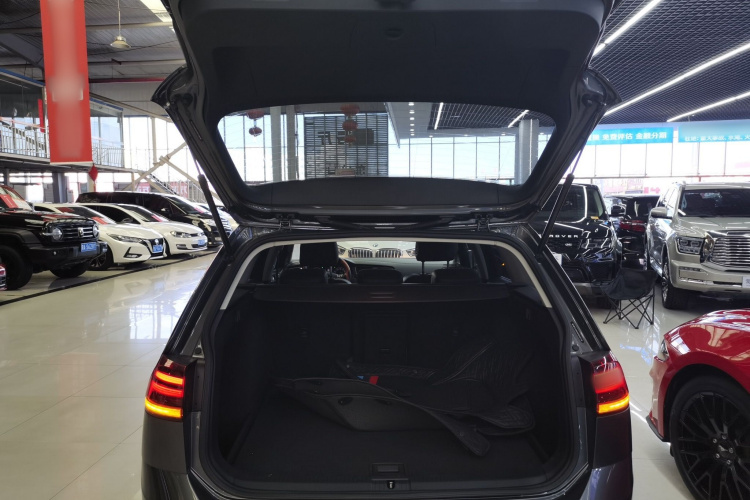 Volkswagen Golf (Imported) 2019 immagine di auto #19