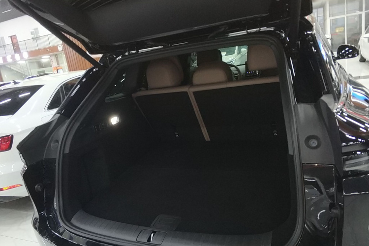 Li i6 2025 immagine di auto #19