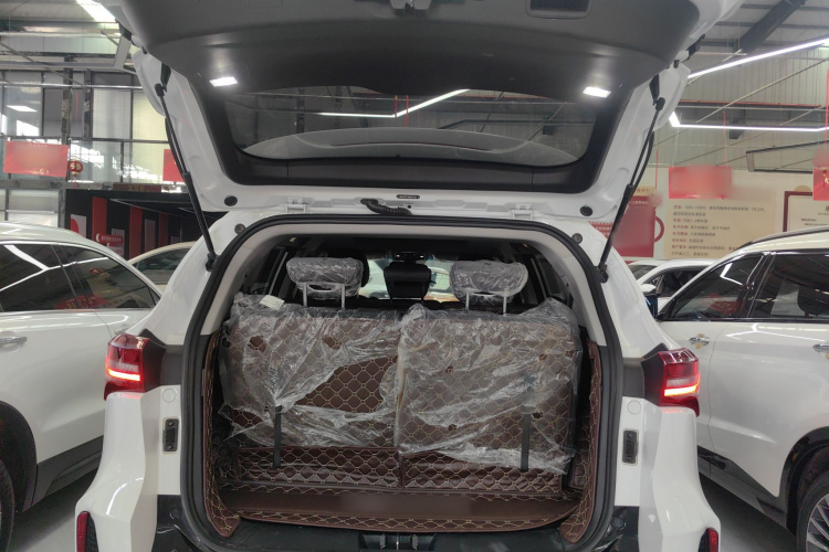 Soueast DX8 S 2023 car image #19