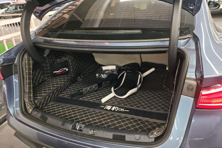 BYD Seal 06 New Energy 2024 image de voiture #19