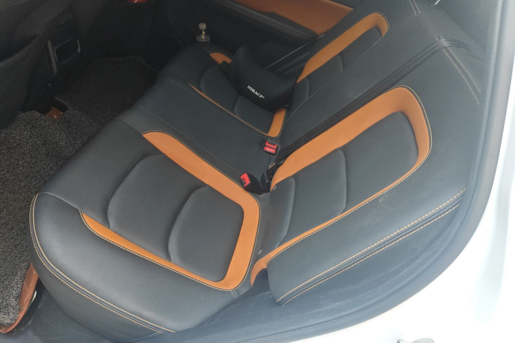 Showjet Pro 2021 imagen de coche #19