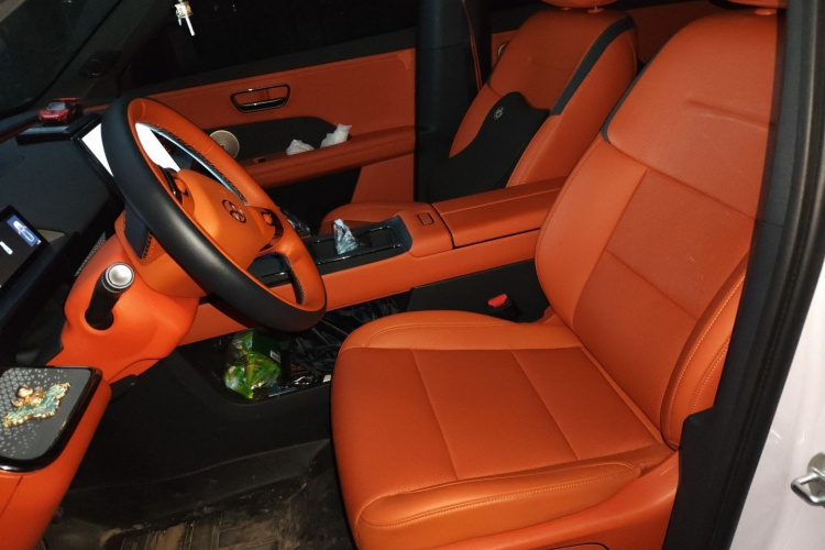 Toyota Bozhi 3X 2025 image de voiture #19