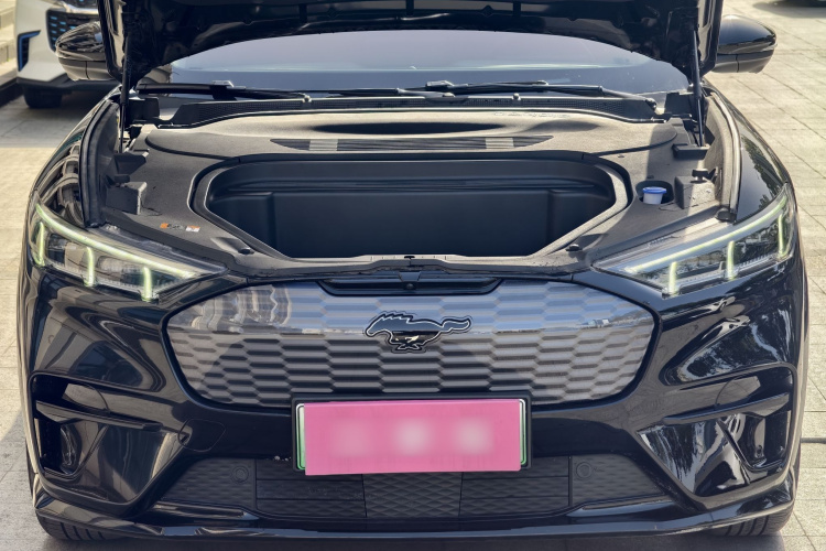 Ford Mustang Mach-E 2023 #19 Ford Mustang Mach-E 2023 car image #19