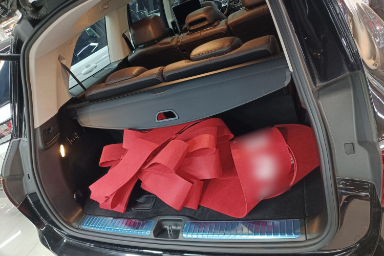 Mercedes-Benz GLS Class 2021 car image #19