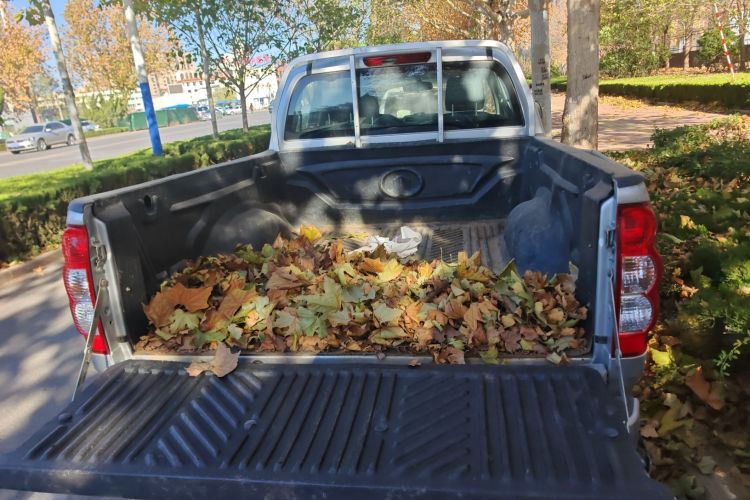 Great Wall Wingle 5 2023 car image #19