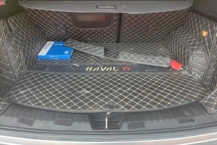 Haval F7 2020 car image #19