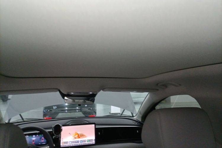 BYD Sea Lion 05 EV 2025 car image #19