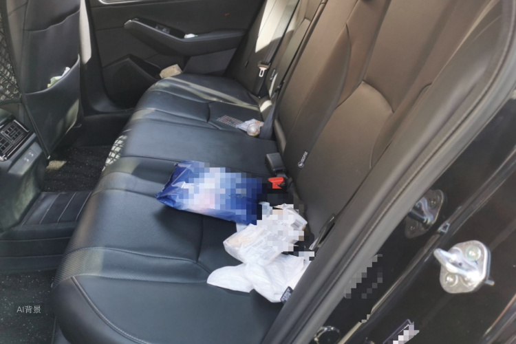 Honda Accord New Energy 2025 car image #19