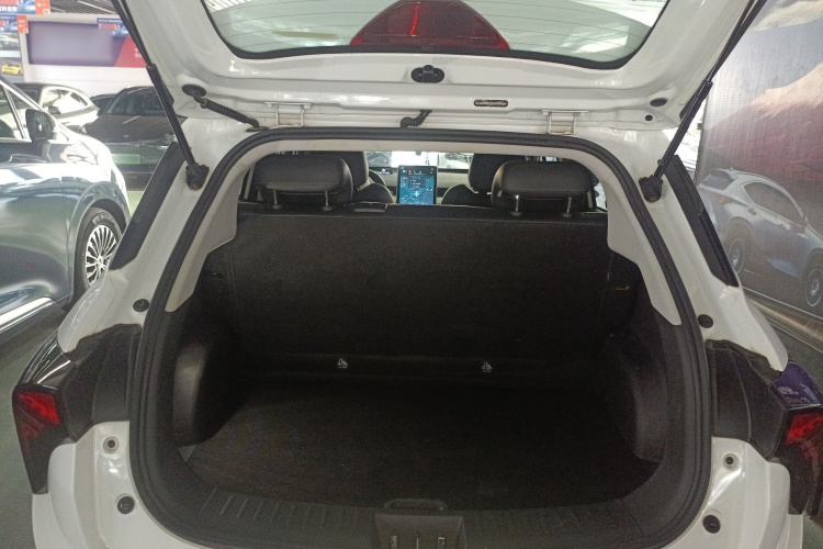 Neta V 2022 #19 Neta V 2022 изображение автомобиля #19