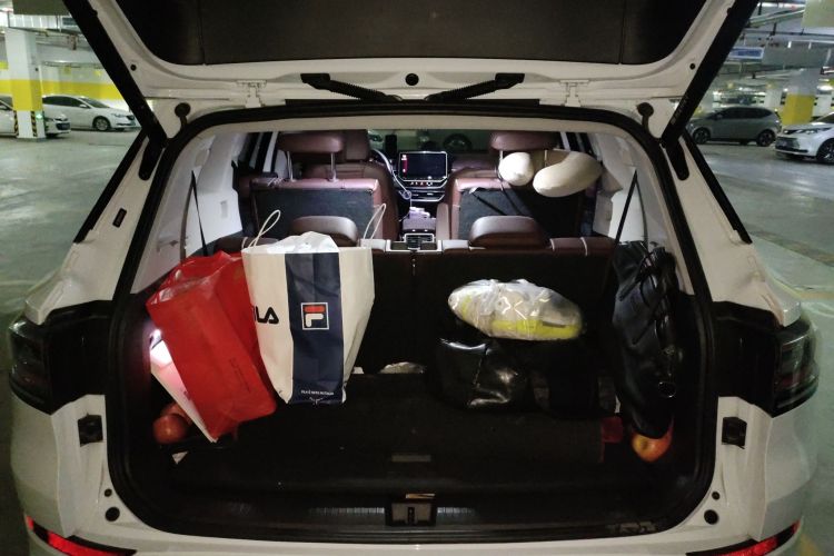 Volkswagen ID.6 X 2024 car image #19