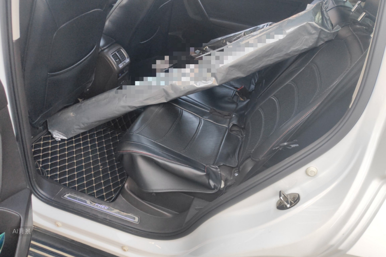 Volkswagen Tiguan L New Energy 2019 car image #19