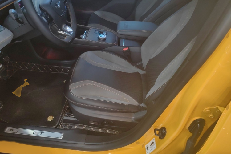 Ford Mustang Mach-E 2023 car image #19