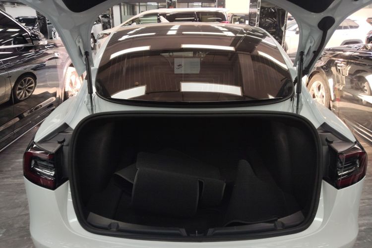 Tesla Model 3 2020 #19 Tesla Model 3 2020 صورة سيارة #19