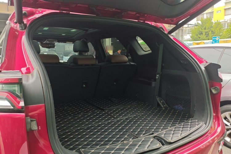 BYD Tang New Energy 2021 car image #19