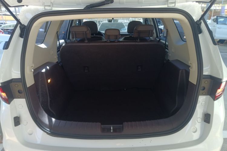 睿蓝汽车 枫叶80v 2021 汽车图片 #19