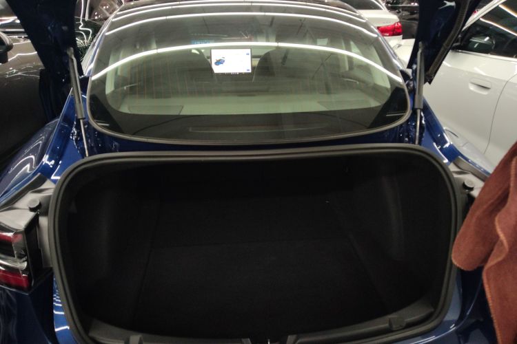 Tesla Model 3 2021 image de voiture #19