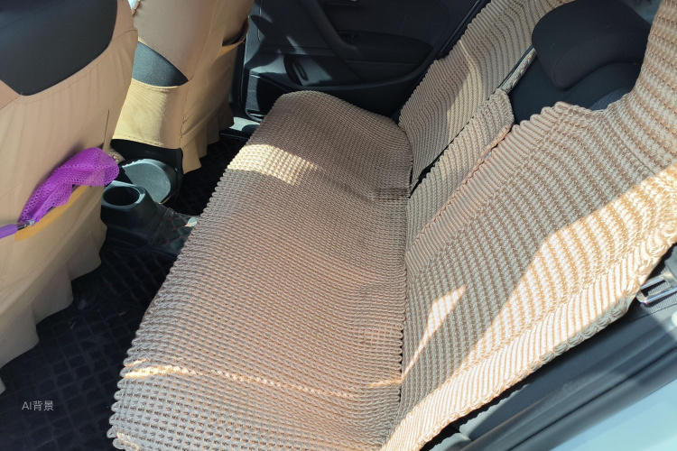 Polo 2017 immagine di auto #19