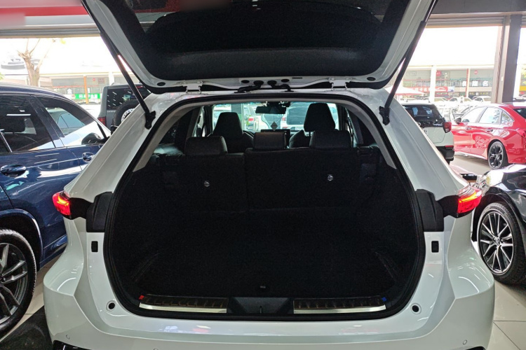 丰田 威飒 2024 汽车图片 #19