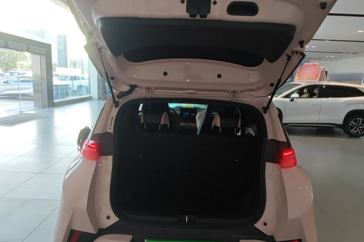 BYD Seagull 2025 car image #19