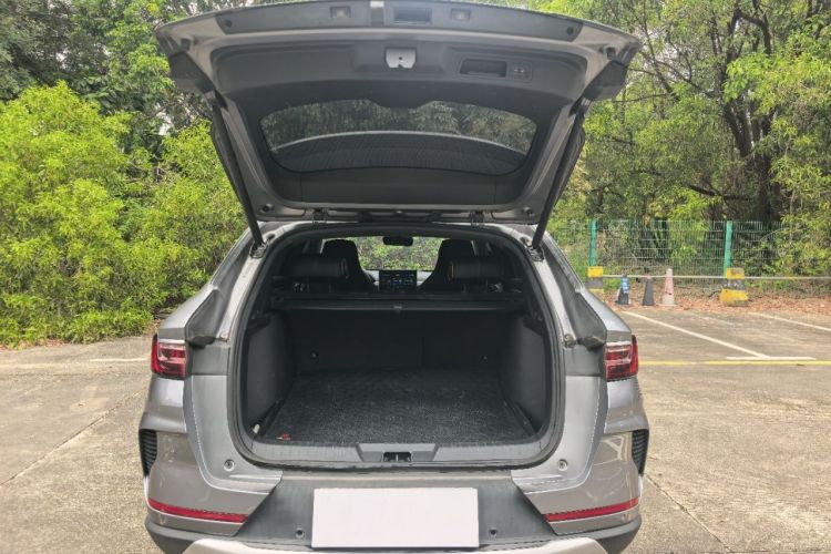 BYD Song Plus New Energy 2021 immagine di auto #19